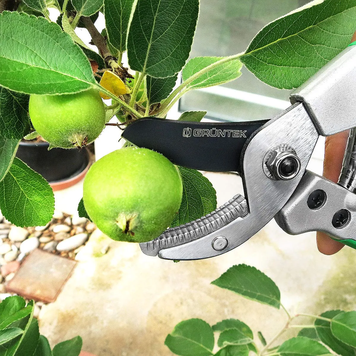 S&R Grüntek Tukane forbici potatura 195 mm a incudine 18 mm