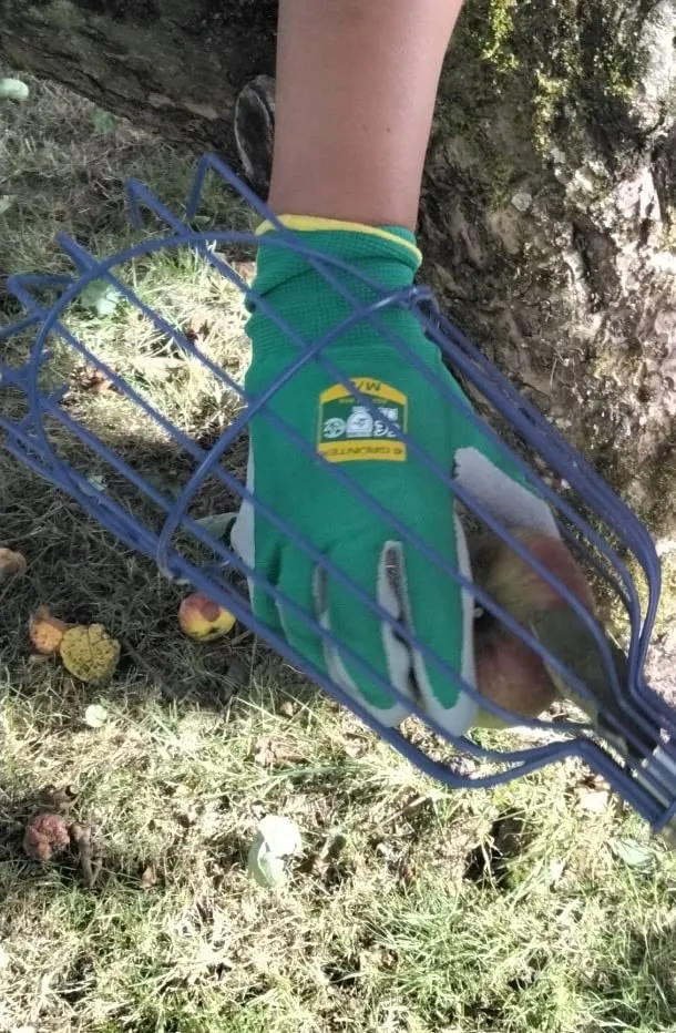GRÜNTEK Guanti Giardinaggio Lattice 5 Paia M8