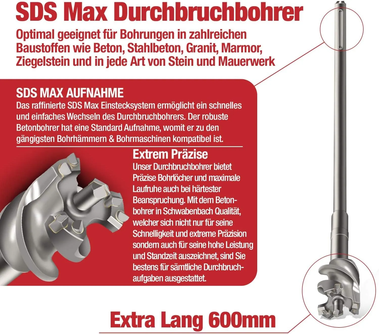 Schwabenbach SDS-Max punta passante 80x600 mm 5 taglienti