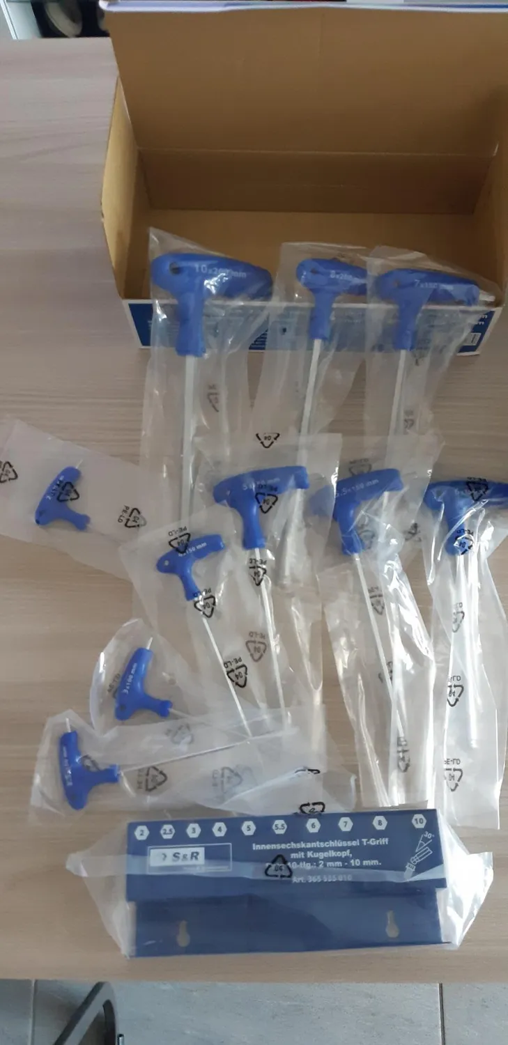S&R Set 10 Chiavi Brugola a T 2-10 mm Acciaio S2