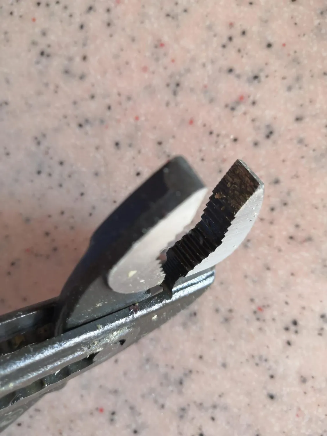 S&R pinza a pappagallo 250 mm 36 mm cromo vanadio