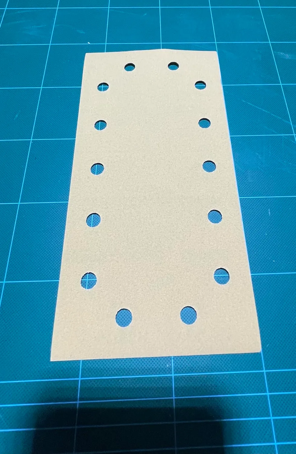 Bosch Expert C470 fogli abrasivi 115x230 mm grana 80 10 pezzi