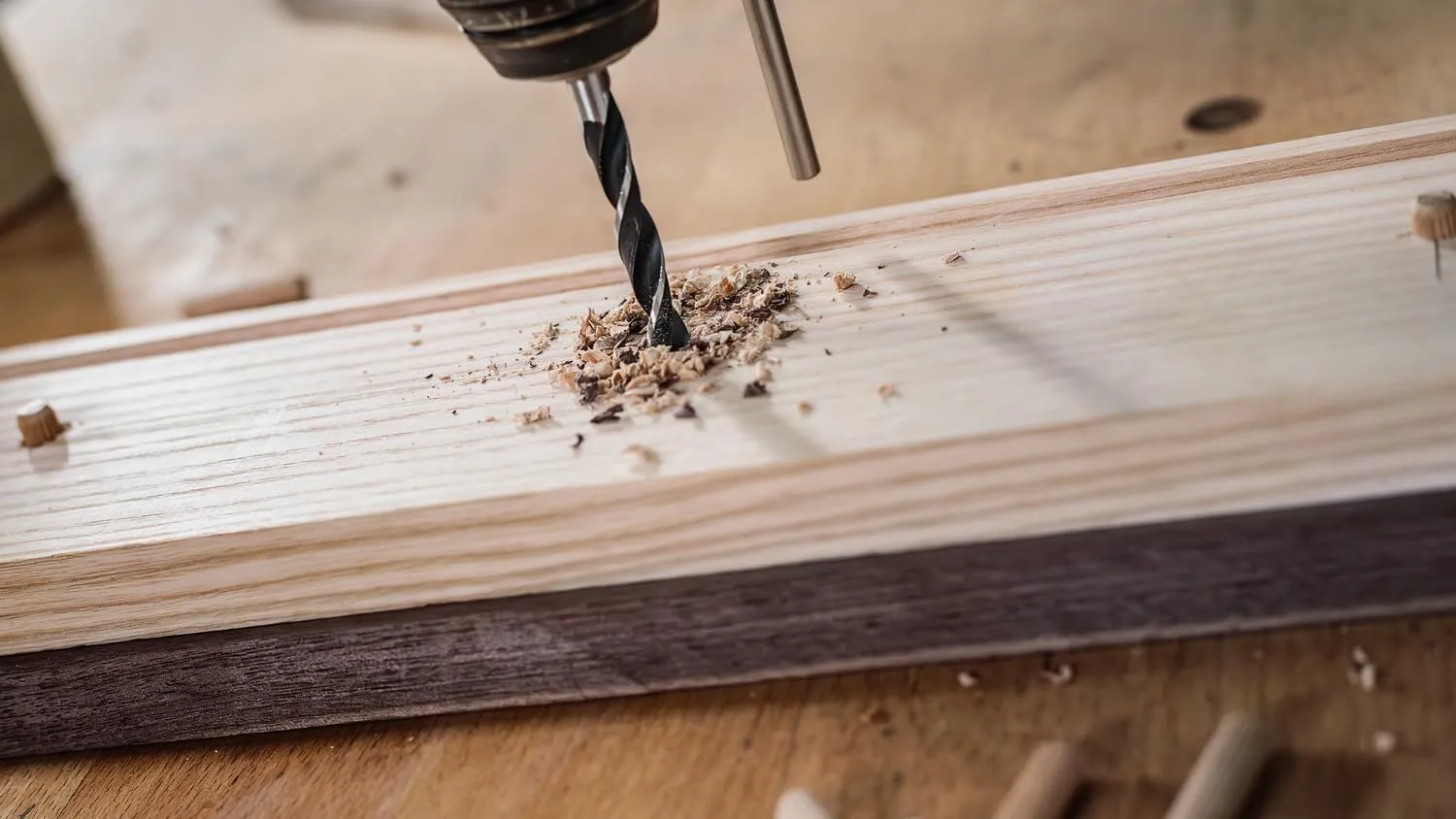 Bosch Expert Mini X-Line 3-10 mm Punte Legno 7 Pezzi