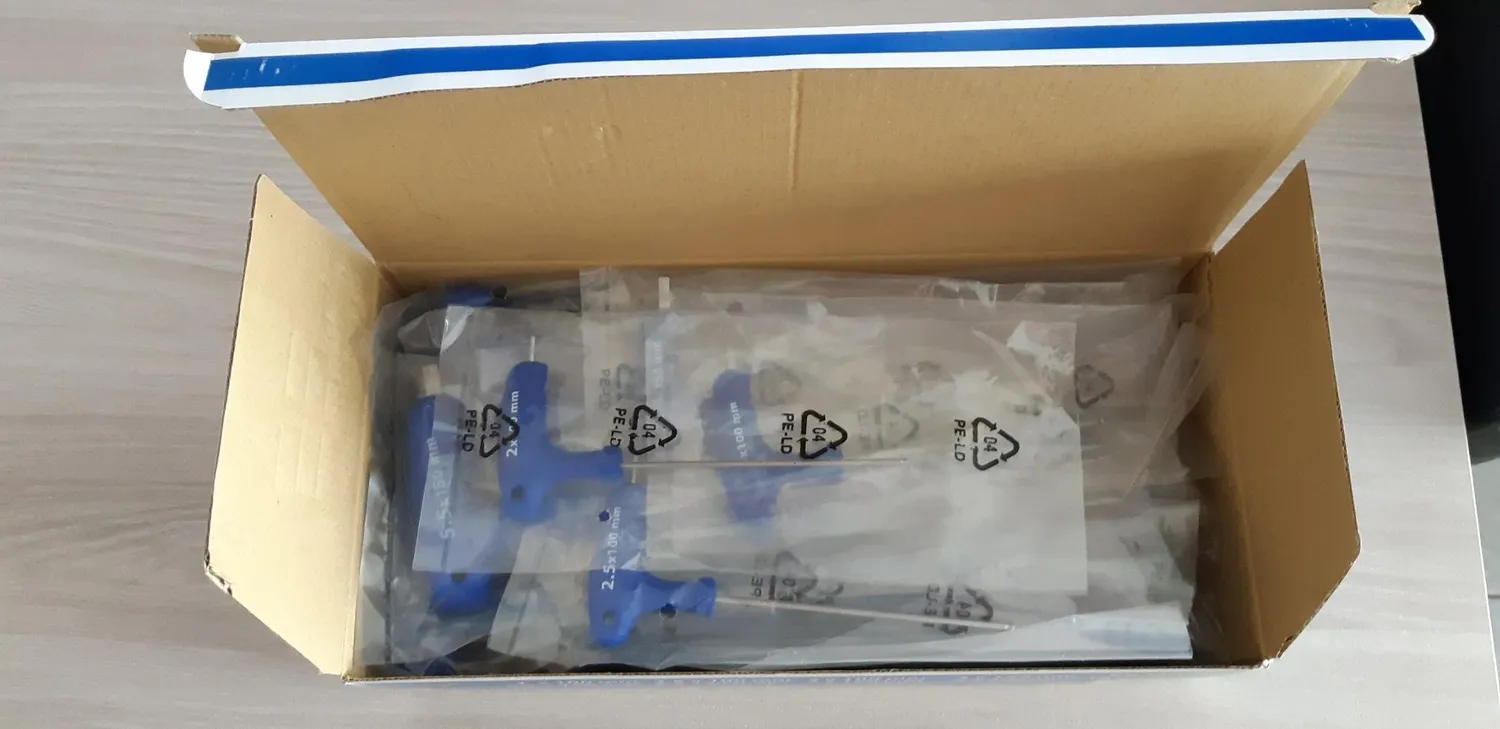S&R Set 10 Chiavi Brugola a T 2-10 mm Acciaio S2
