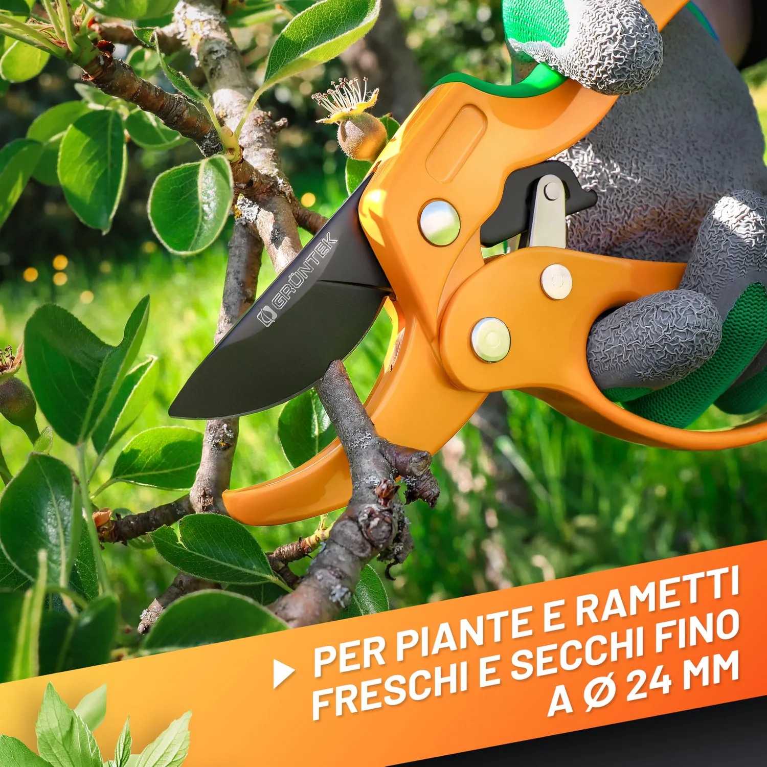 Grüntek Gufo Forbici Potatura a Cricchetto 20,5 cm fino 24 mm