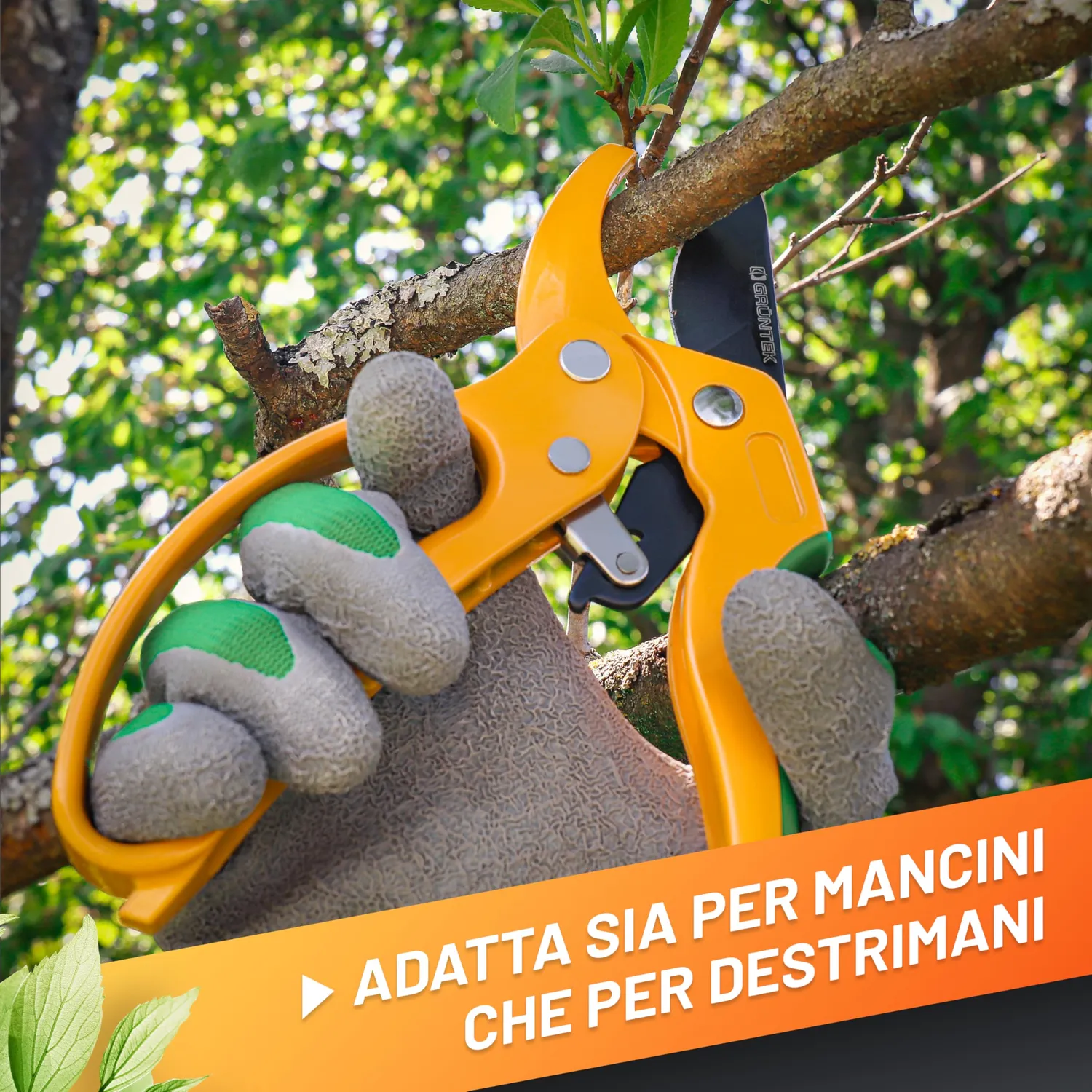 Grüntek Gufo Forbici Potatura a Cricchetto 20,5 cm fino 24 mm