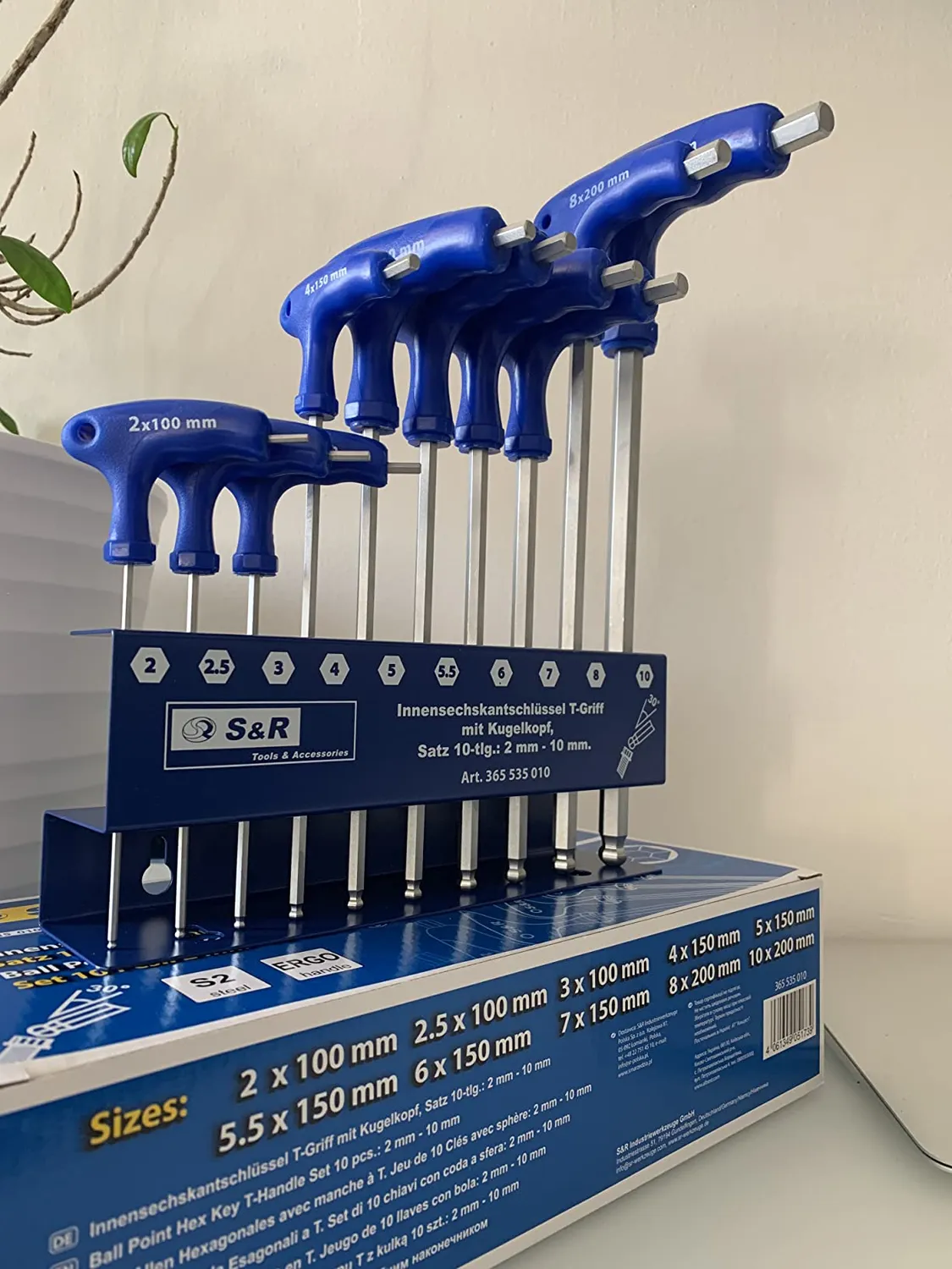 S&R Set 10 Chiavi Brugola a T 2-10 mm Acciaio S2