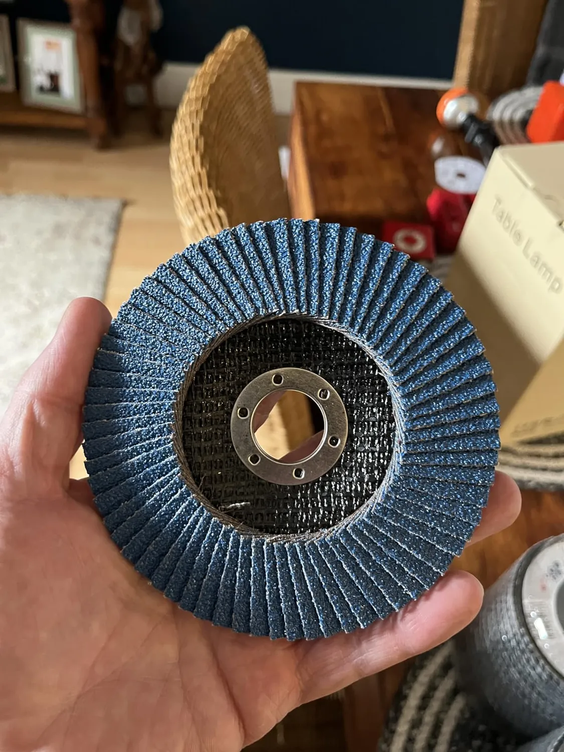 Bosch Expert X451 dischi lamellari 125 mm set 60 pezzi grana assortita