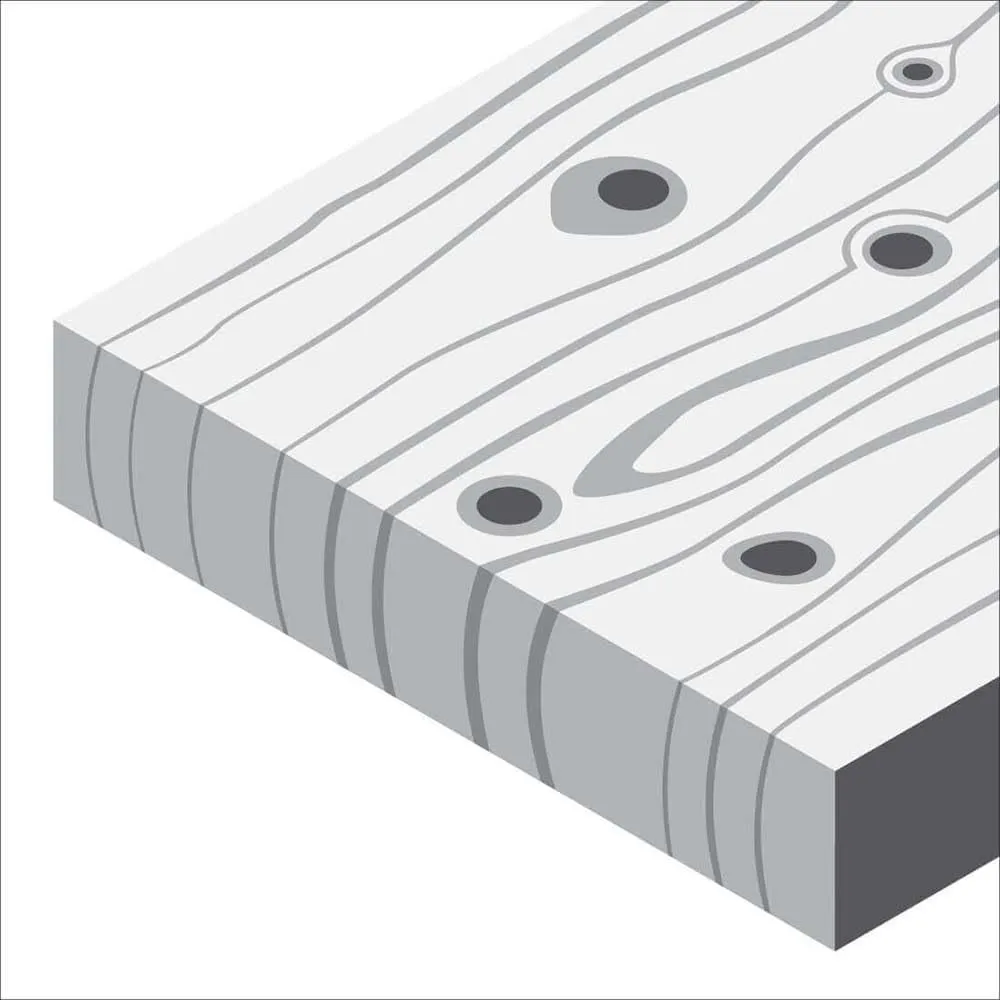 Bosch Expert C430 foglio abrasivo 115x280 mm grana 60 legno