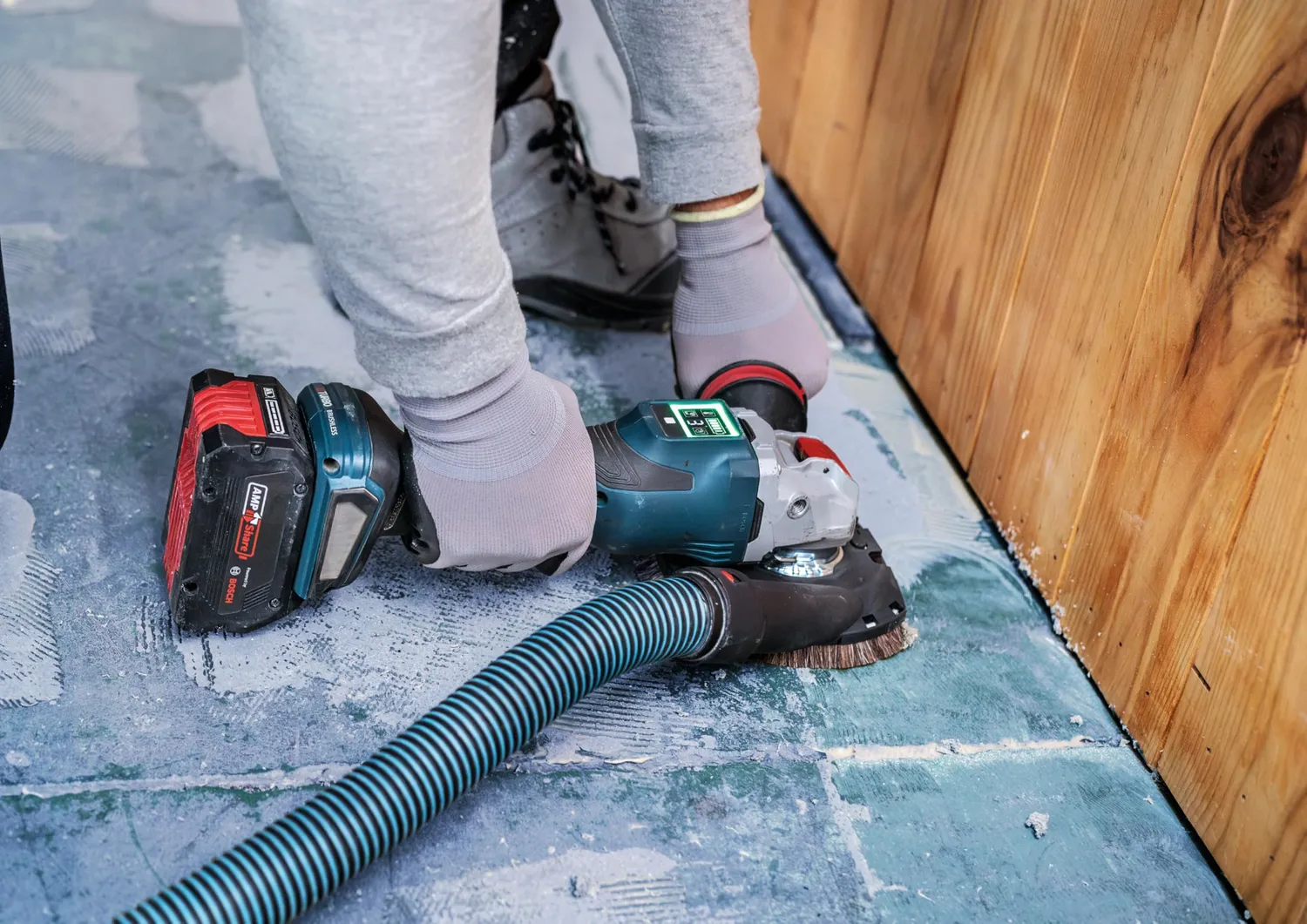 Bosch Expert mola a tazza 115 mm multimateriale